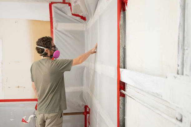 Best Real Estate Mold Inspection  in Lake Station, IN