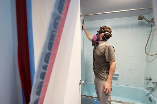Best Mold Damage Restoration  in Lake Station, IN