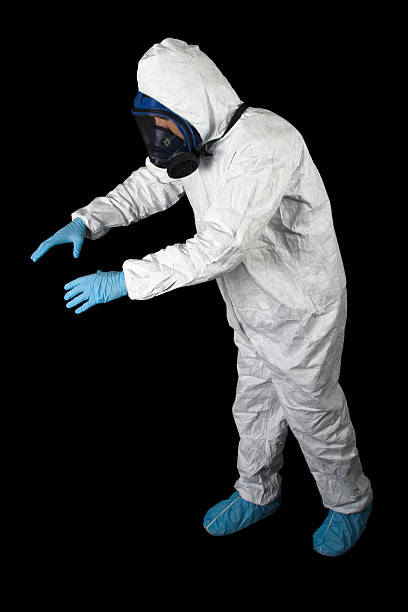 Professional Mold Removal in Lake Station, IN
